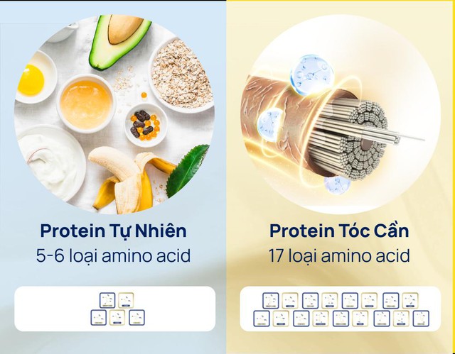 95% tóc là protein - sự thật ít ai biết!! - Ảnh 3.