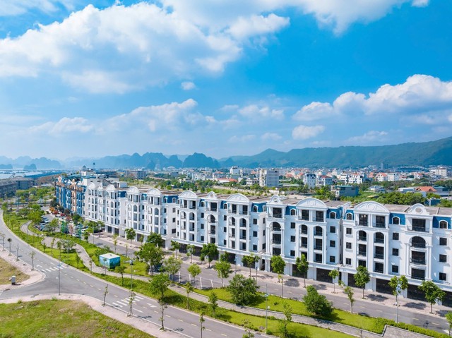 Đất Xanh Miền Bắc hợp tác với Tập đoàn TTP tại dự án Green Dragon City- Ảnh 2.