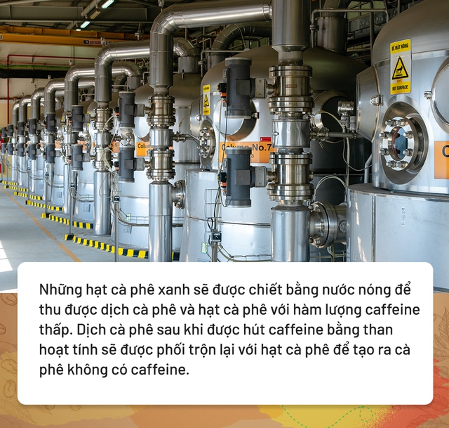 Nông dân hạnh phúc vì cà phê nhà trồng vươn tầm thế giới- Ảnh 6.