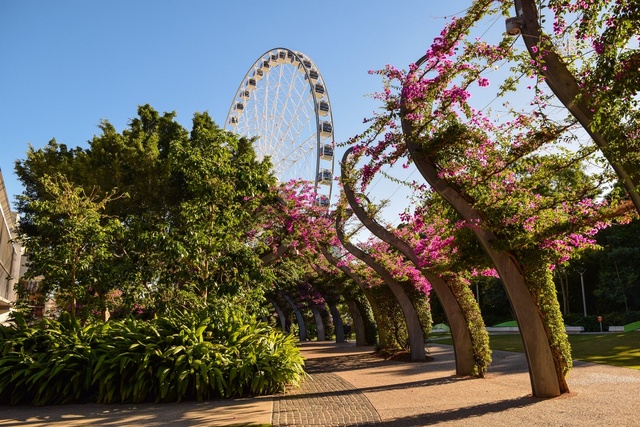 Nét hút hồn của Brisbane nhìn từ 5 công viên ngoài trời nổi tiếng - Ảnh 3.