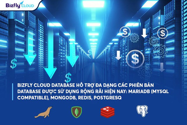 Giảm chi phí triển khai ban đầu và đáp ứng truy cập cao nhờ Bizfly Cloud Database - Ảnh 2.
