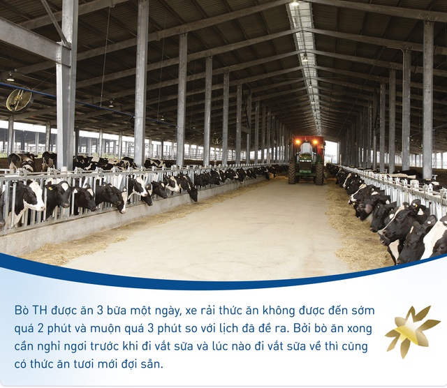 “Nhà bếp 5 sao” của những cô bò hạnh phúc tại trang trại TH - Ảnh 2.