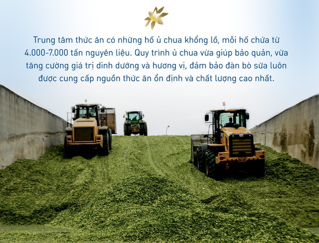 “Nhà bếp 5 sao” của những cô bò hạnh phúc tại trang trại TH - Ảnh 3.