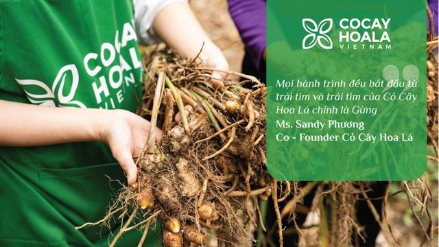 Cỏ Cây Hoa Lá - Hành trình mang rạng ngời và sức sống mới cho Nông sản Việt - Ảnh 1.