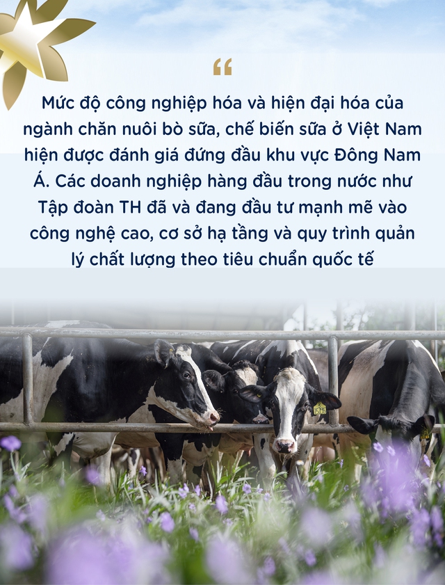 Tự chủ giống bò sữa, TH góp vai trò lớn giải bài toán khó của nông nghiệp Việt Nam - Ảnh 1.