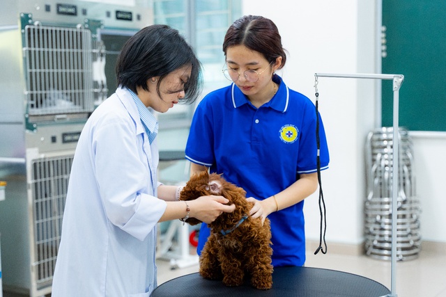 Choáng ngợp với loạt dịch vụ dành riêng cho “pet cưng” tại ngày hội “Chăm sóc sức khỏe thú cưng” HUTECH - Ảnh 5.