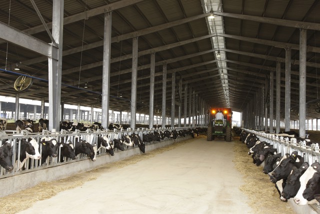 Hành trình từ cánh đồng Nghệ An đến thương hiệu làm thay đổi bản chất ngành sữa Việt - Ảnh 5.