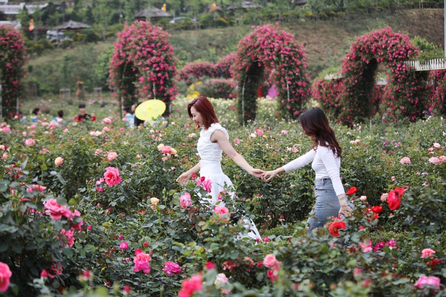 Thưởng hoa, xem đám cưới các dân tộc tại Lễ hội Hoa hồng Fansipan, Sa Pa dịp 30/4 - Ảnh 1.