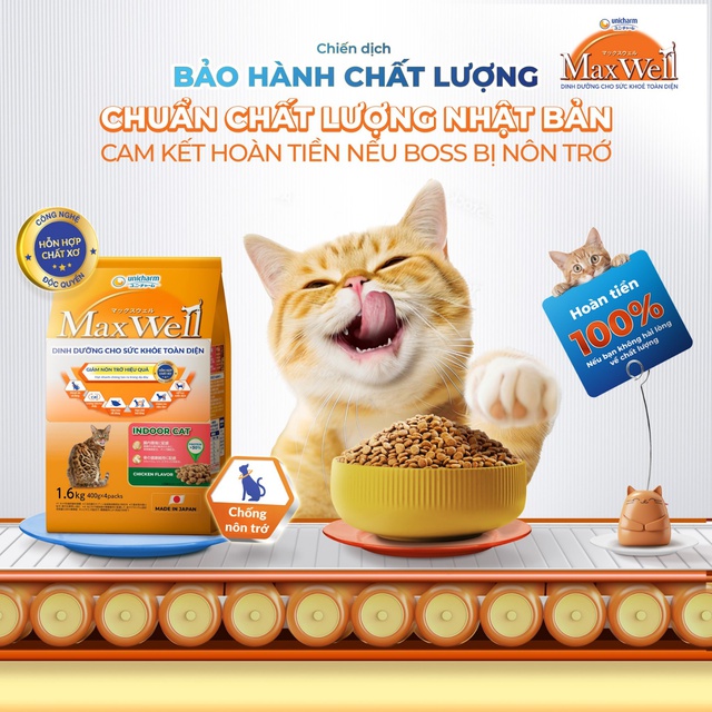 Sen mạnh tay c&agrave; thẻ mua đồ ăn cho &ldquo;boss&rdquo;, kh&ocirc;ng ưng được ho&agrave;n tiền 100% liền - Ảnh 3.