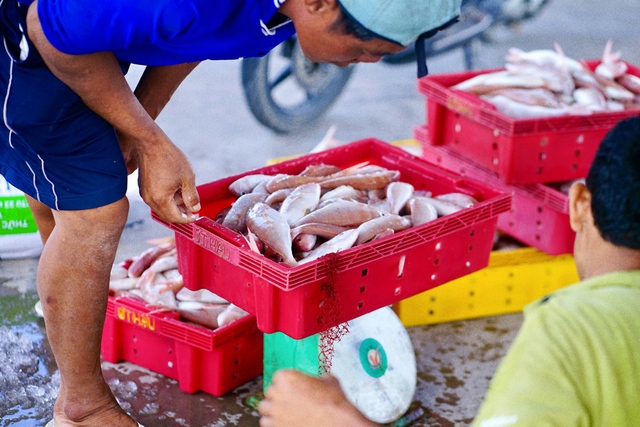 Du lịch hè tại Ba Tri: Tất tần tật thông tin cho chuyến du ngoạn hè trên cả tuyệt vời - Ảnh 3.