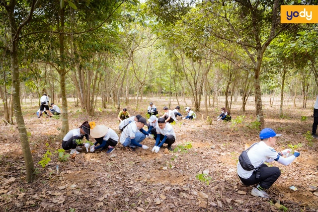 YODY tài trợ Gaia 1 tỷ đồng và hành trình phủ xanh rừng Việt Nam - Ảnh 4.