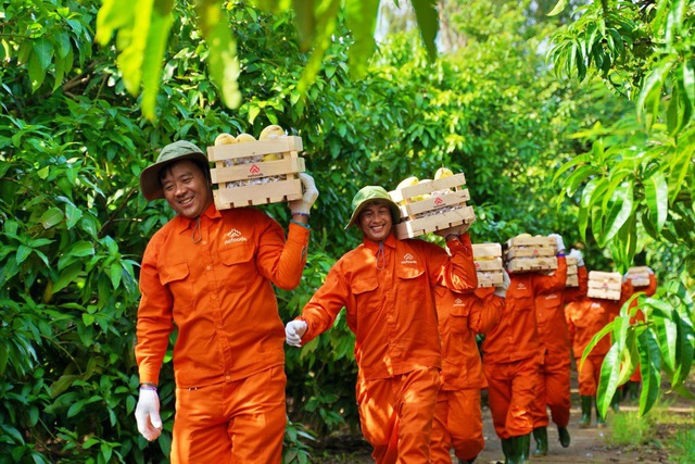 Nafoods và hành trình chinh phục người tiêu dùng Việt Nam - Ảnh 5.