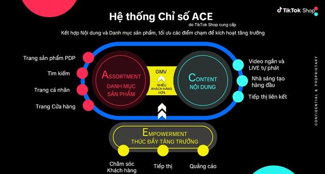 Thương hiệu đầu tư vào TikTok tăng nhanh từ Hệ thống chỉ số ACE - Ảnh 1.