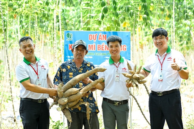 Thay đổi phương pháp trồng khoai mì mới theo Ajinomoto, nông dân bội thu vụ mùa - Ảnh 4.