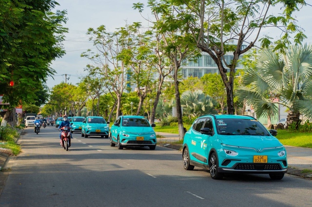 GSM triển khai trình “Mùa hè xanh vì tương lai xanh” - Ảnh 1.