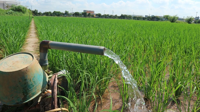 Nghiên cứu giảm phát thải và tạo tín chỉ carbon trong canh tác lúa bền vững tại Việt Nam - Ảnh 1.
