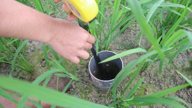 Nghiên cứu giảm phát thải và tạo tín chỉ carbon trong canh tác lúa bền vững tại Việt Nam - Ảnh 4.