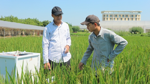Nghiên cứu giảm phát thải và tạo tín chỉ carbon trong canh tác lúa bền vững tại Việt Nam - Ảnh 5.