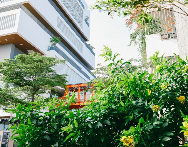 Rừng trúc đẹp đến hư vô hoá ra chỉ là “góc nhỏ xíu xiu” trong ngôi trường đẹp như thiên đường hoa cỏ này - Ảnh 5.