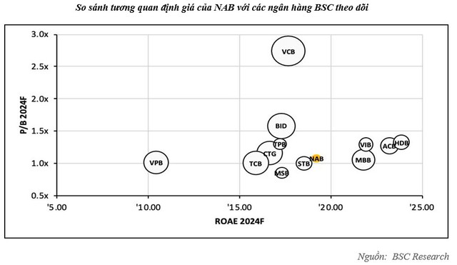 Cổ phiếu NAB tăng mạnh sau khi vào rổ MSCI Frontier Market Index - Ảnh 1.