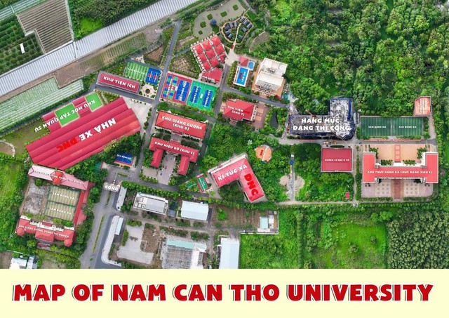 Đại học Nam Cần Thơ đồng hành cùng sinh viên, mở rộng tầm nhìn, hội nhập và phát triển - Ảnh 1.