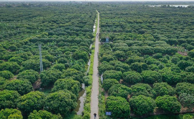 Thanh Hà: Vùng đất giàu tiềm năng trên bản đồ bất động sản Hải Dương - Ảnh 1.