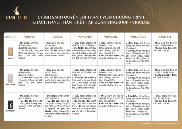 Vingroup ra mắt chương trình khách hàng thân thiết VinClub - Ảnh 1.