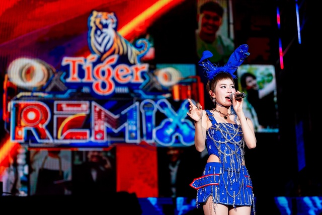 Tiger Remix 2025 đón năm mới cùng 120.000 khán giả, khuynh đảo thời khắc giao thừa đầy bản lĩnh tại TP Hồ Chí Minh và Tiền Giang - Ảnh 13.