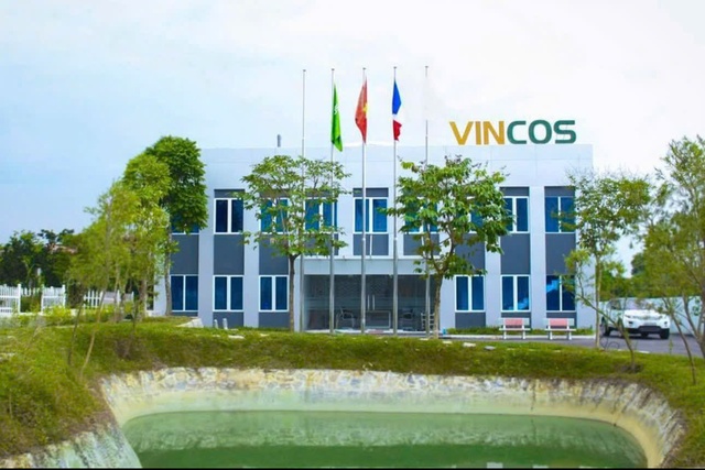 VINCOS nhận cúp Top 10 thương hiệu mạnh phát triển Quốc gia - Ảnh 3.