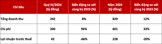 DNSE tăng doanh thu 12%, đạt 1 triệu tài khoản chứng khoán năm 2024 - Ảnh 1.