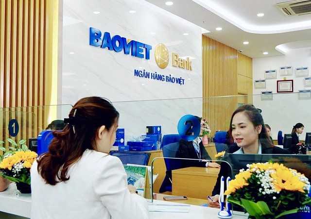 BAOVIET Bank 2024: Tăng trưởng ổn định, đẩy mạnh chuyển đổi số - Ảnh 1.