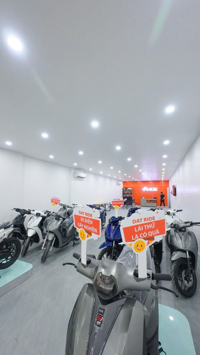 Mô hình Trung tâm Dịch vụ Bảo dưỡng Xe điện Dat Bike có gì?- Ảnh 2.