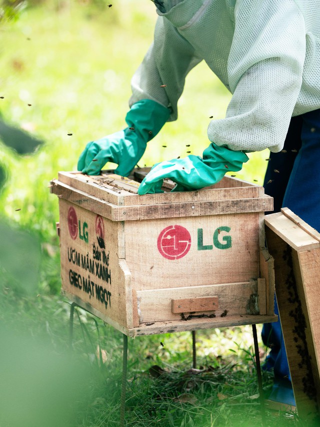 Đại sứ Cộng đồng LG 2025: Hành trình cùng cộng đồng kiến tạo tương lai bền vững- Ảnh 1.