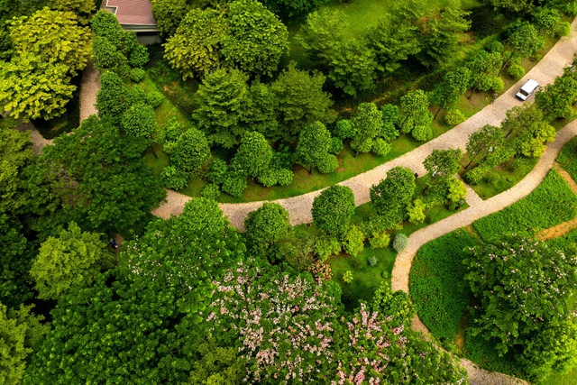 The Pearl và những gam màu giữa “đô thị sông nước”- Ảnh 1.