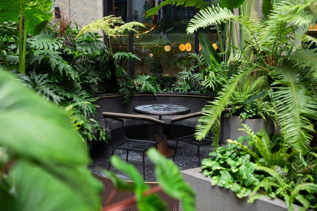 Nghỉ dưỡng xanh giữa lòng Hà Nội dành cho thế hệ Millennials và Gen Z yêu sự tinh tế- Ảnh 2.