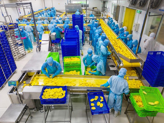 HOSE nhận hồ sơ niêm yết, Antesco tiến gần mục tiêu 300 triệu USD- Ảnh 3.