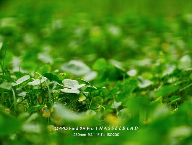 Cuối tuần “chill – quẩy” ở Hưng Yên qua ống kính OPPO Find X9 Pro- Ảnh 5.