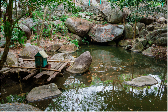 Tức Dụp - "Hòn đảo thời gian" giữa miền Tây- Ảnh 4.