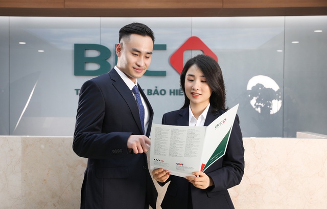 BIC tăng vốn điều lệ: Bước ngoặt cho hành trình bứt phá- Ảnh 2.