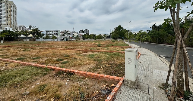 Đất nền vùng ven: Tín hiệu phục hồi, cơ hội bứt phá đầu 2026- Ảnh 2.