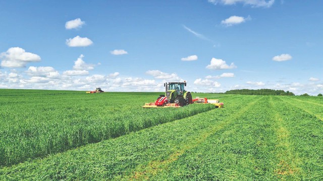 Tổng thống Putin: “Dự án của bà Thái Hương góp phần tăng cường hợp tác Việt-Nga”- Ảnh 4.