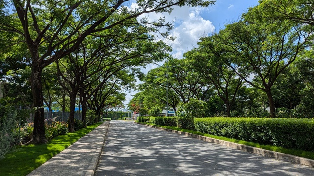 S P Setia và hành trình thổi hồn vào những “biểu tượng sống” toàn cầu - Ảnh 1.