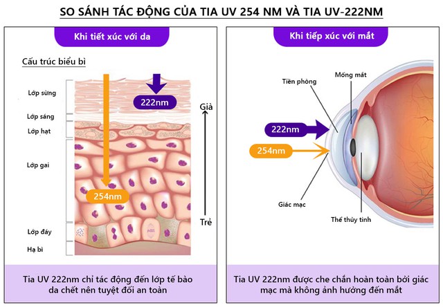 Đèn UV Rama 222 khử trùng trực tiếp trong phòng có người – bước đột phá về công nghệ UV tại Việt Nam - Ảnh 1.