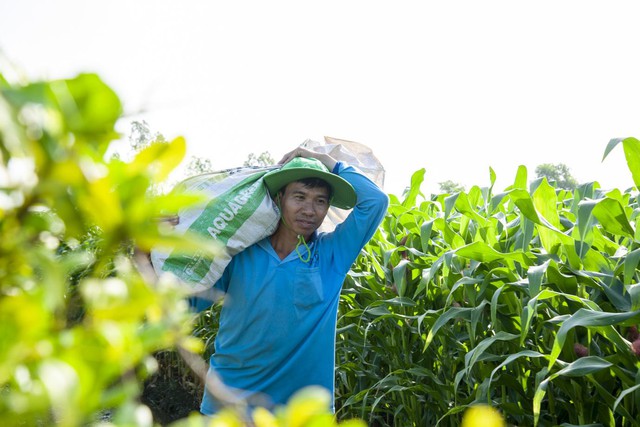 Chuỗi 6.000 hộ, 10.000 ha vùng nguyên liệu: Nỗ lực của Antesco nâng sinh kế nông dân - Ảnh 4.