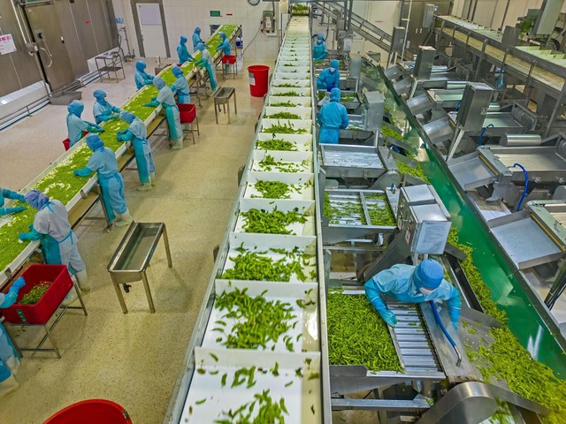 Chuỗi 6.000 hộ, 10.000 ha vùng nguyên liệu: Nỗ lực của Antesco nâng sinh kế nông dân - Ảnh 5.