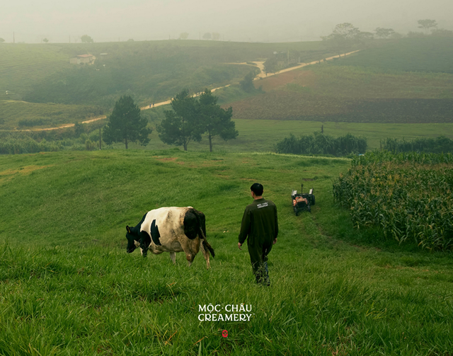 Lễ ra mắt thương hiệu Mộc Châu Creamery- Ảnh 3.