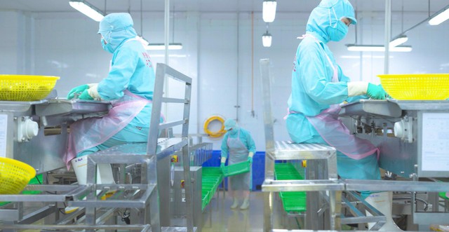 De Heus và Minh Phú phát triển bền vững chuỗi giá trị ngành tôm Việt Nam- Ảnh 2.