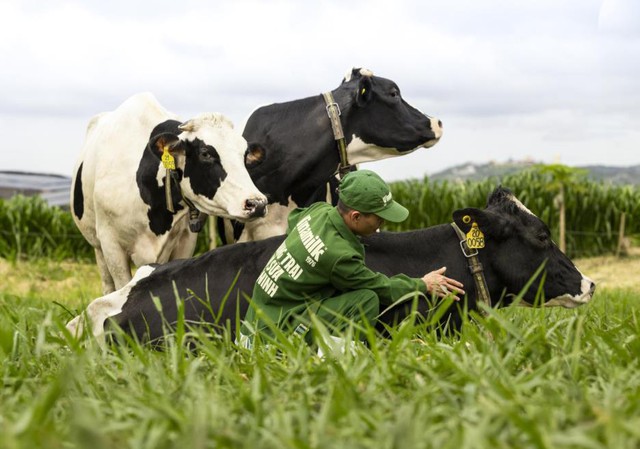 Tại sao một thương hiệu sữa tươi lại dành gần 10 năm chỉ để nghiên cứu… oxy? - Ảnh 2.