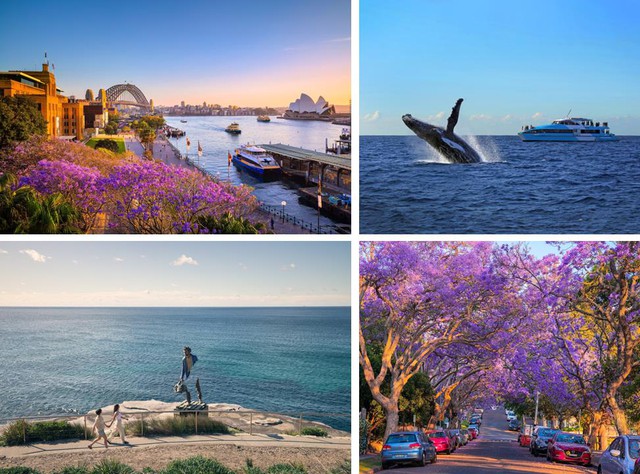 7 trải nghiệm nên thử ở Sydney khiến du khách Việt say lòng- Ảnh 3.