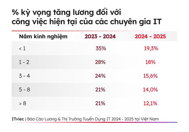 Thị trường tuyển dụng IT nửa đầu năm 2025 bắt đầu tiến vào chu kỳ ngừng phát triển - Ảnh 1.